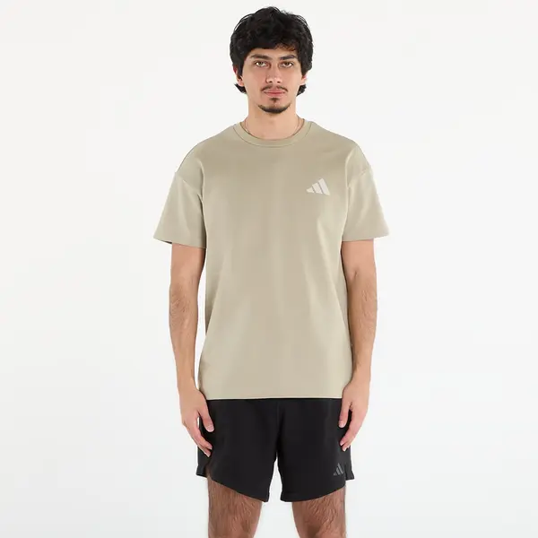 adidas Performance Majice adidas Terrex Xploric Graphic T-Shirt Wonder Cargo XL