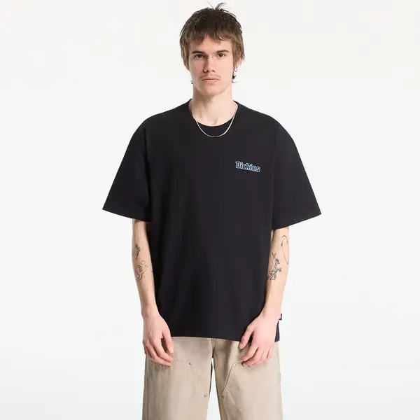 Dickies Majice Dickies Fairlawn Ss Tee Black L