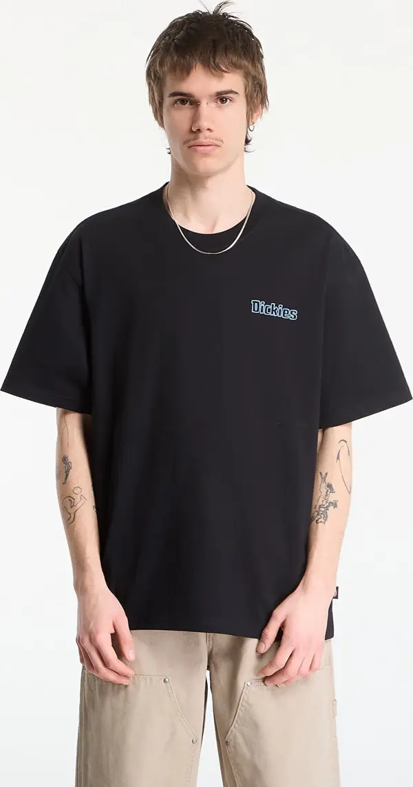 Dickies Majice Dickies Fairlawn Ss Tee Black XL