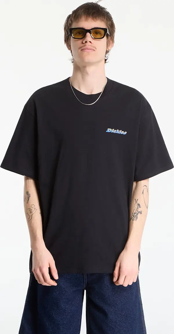 Dickies Majice Dickies Thornville Ss Tee Black L