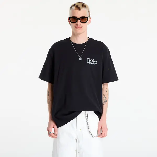 Dickies Majice Dickies Vernal Short Sleeve Tee Black L