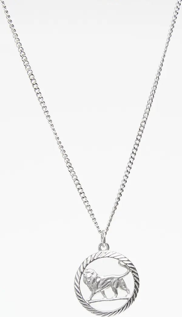 Miansai Ogrlica Miansai Lev Pendant Necklace Sterling Silver Universal