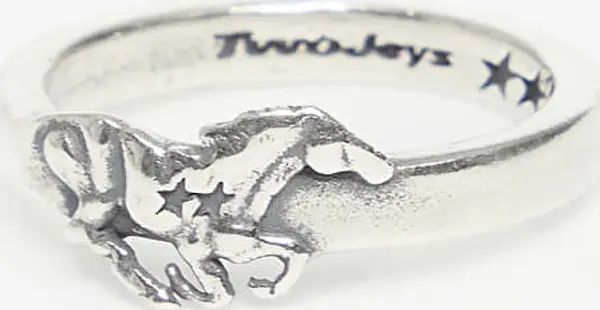 TwoJeys Prstan TwoJeys Big Icon Galloping Ring Silver 58 mm