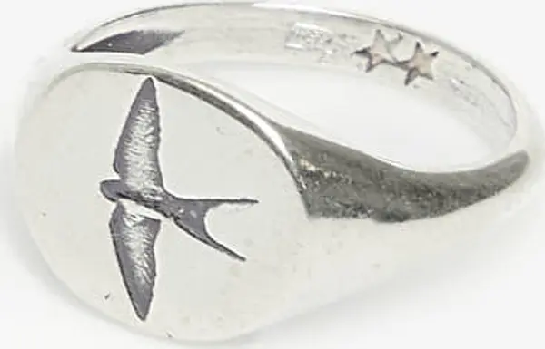 TwoJeys Prstan TwoJeys Liberty Ring Silver 58 mm