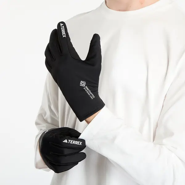 adidas Performance Rokavice adidas Terrex Xperior GORE-TEX Windstopper Gloves Black L