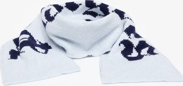 Palm Angels Šali Palm Angels Logo Knit Scarf Light Blue/ Navy Blue Universal