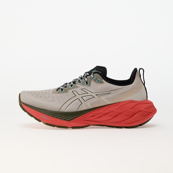 Asics Sneakers Asics Novablast 4 Tr Nature Bathing/ Red Snapper EUR 44