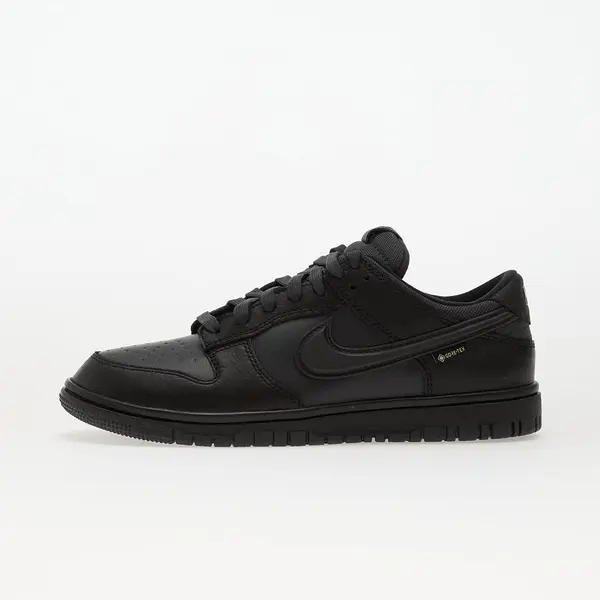 Nike Sneakers Nike Dunk Low Gtx Black/ Off Noir-Anthracite EUR 40