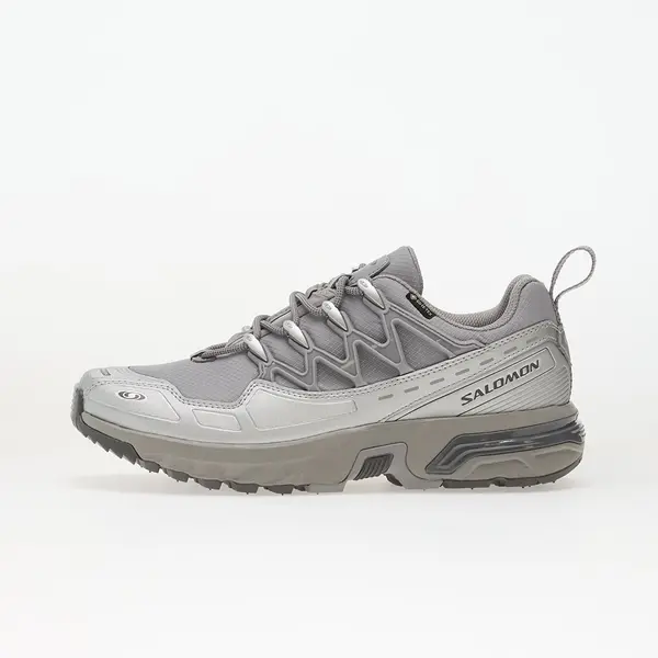 Salomon Sneakers Salomon ACS + GTX Alloy/ Clrock/ Ftw Silver EUR 40