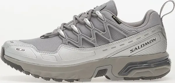 Salomon Sneakers Salomon ACS + GTX Alloy/ Clrock/ Ftw Silver EUR 45 1/3
