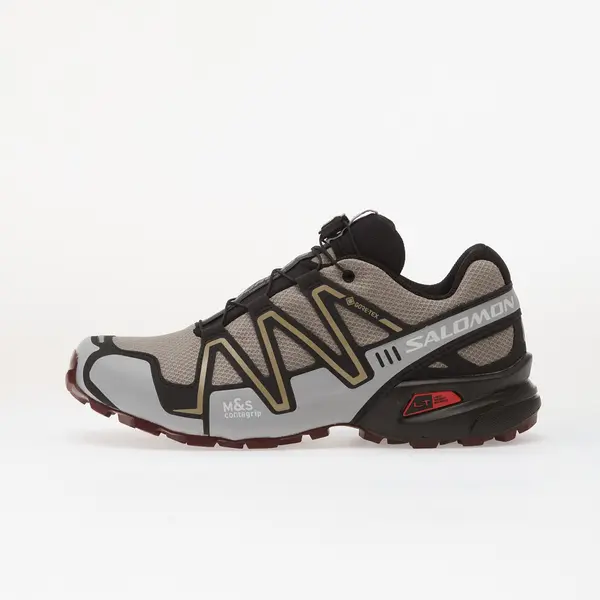 Salomon Sneakers Salomon Speedcross 3 GTX Cloudb/ Prlblu/ Blac EUR 40 2/3