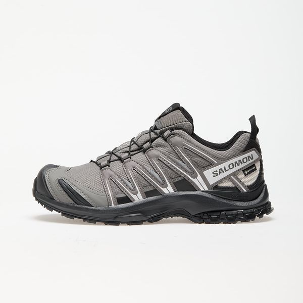 Salomon Advanced Sneakers Salomon XA Pro 3D GTX Pewter/ Black/ Silver Cloud EUR 41 1/3