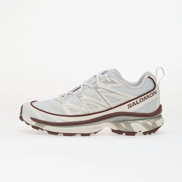 Salomon Sneakers Salomon XT-6 Expanse Anciew/ Bchoco/ Ftw Silv EUR 41 1/3