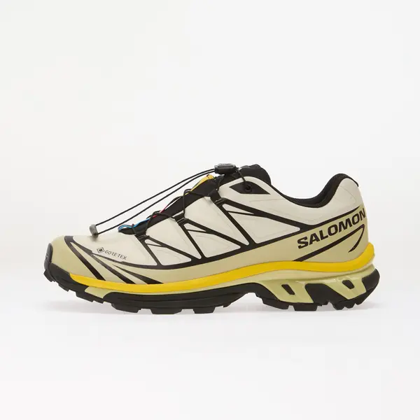 Salomon Sneakers Salomon XT-6 GTX Vanilla Ice/ Bog/ Shadow EUR 40 2/3