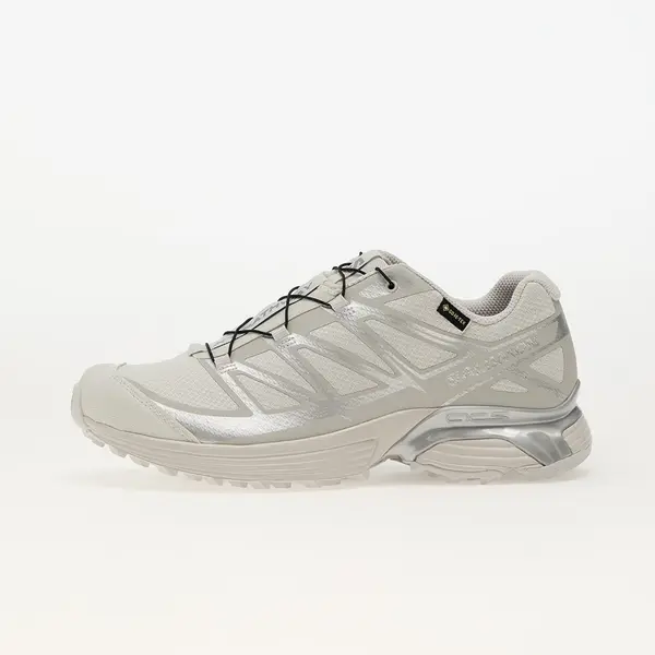 Salomon Sneakers Salomon XT-Pathway Gtx LunRoc/ Allo/ Ftw Silv EUR 42