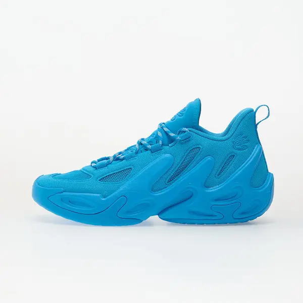 Under Armour Sneakers Under Armour CURRY 13 AP Blue EUR 45