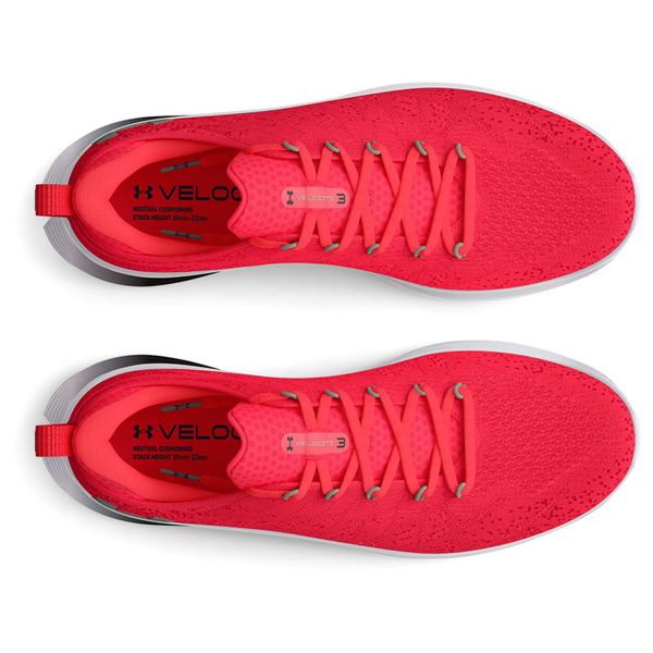 Under Armour Sneakers Under Armour W Velociti 3 Red EUR 38