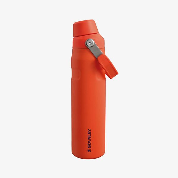 STANLEY STANLEY The Aerolight™ IceFlow™ Water Bottle Fast Flow 600 ml Tigerlily Plum Universal