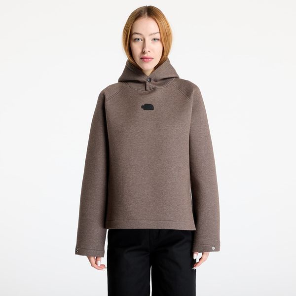 The North Face Sweatshirt The North Face W Relaxed Hoodie Smokey Brown L