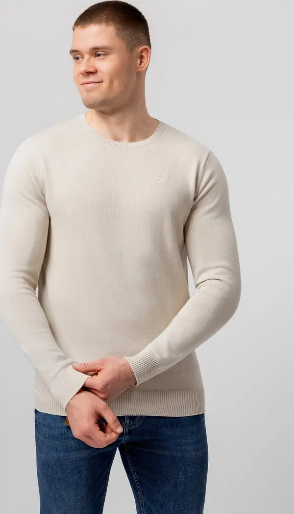 LELOSI LELOSI Moški pulover KnitLine Nereus S