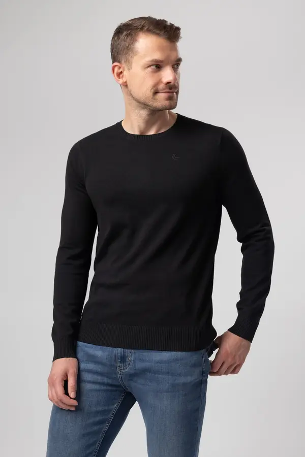 LELOSI LELOSI Moški pulover KnitLine Zeus S