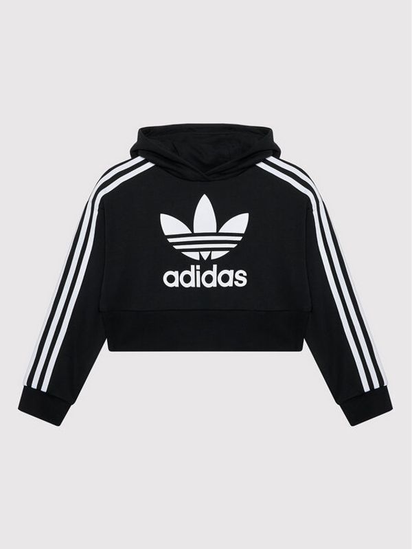 adidas adidas Jopa adicolor Cropped H32337 Črna Loose Fit