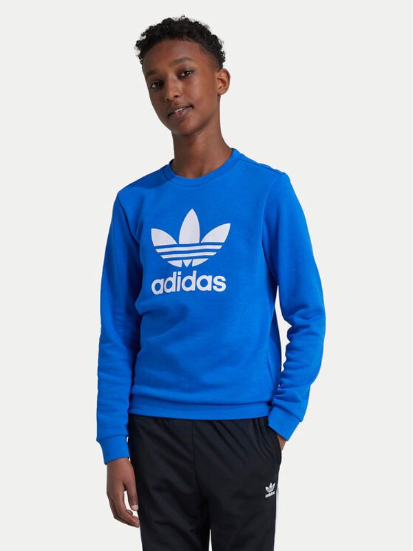 adidas adidas Jopa Trefoil IY7438 Modra Regular Fit