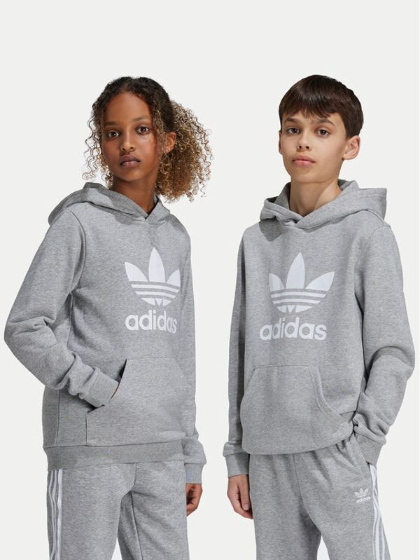 adidas adidas Jopa Trefoil IY7442 Siva Regular Fit