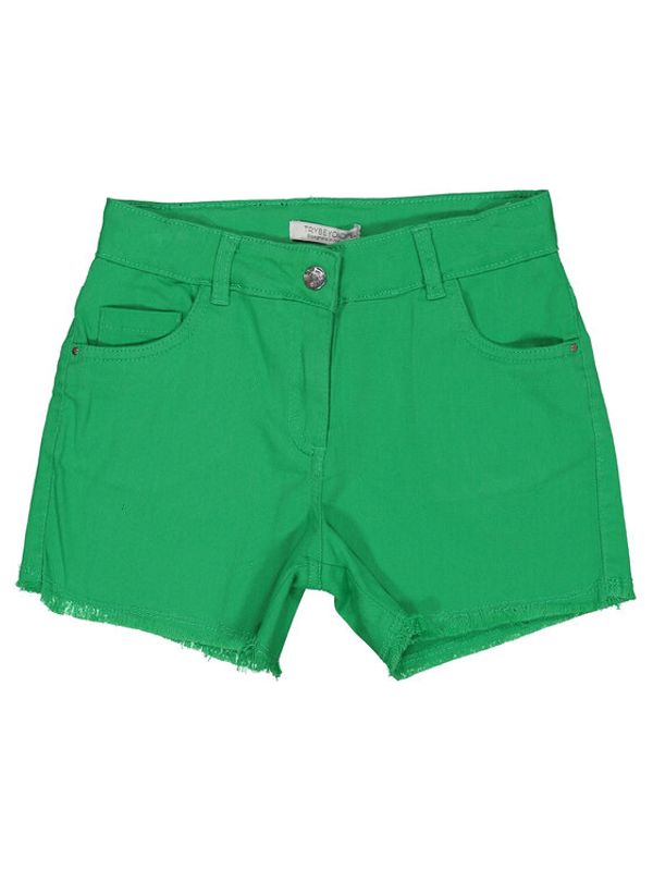 Birba Trybeyond Birba Trybeyond Kratke hlače iz tkanine 999 61478 00 D Zelena Regular Fit