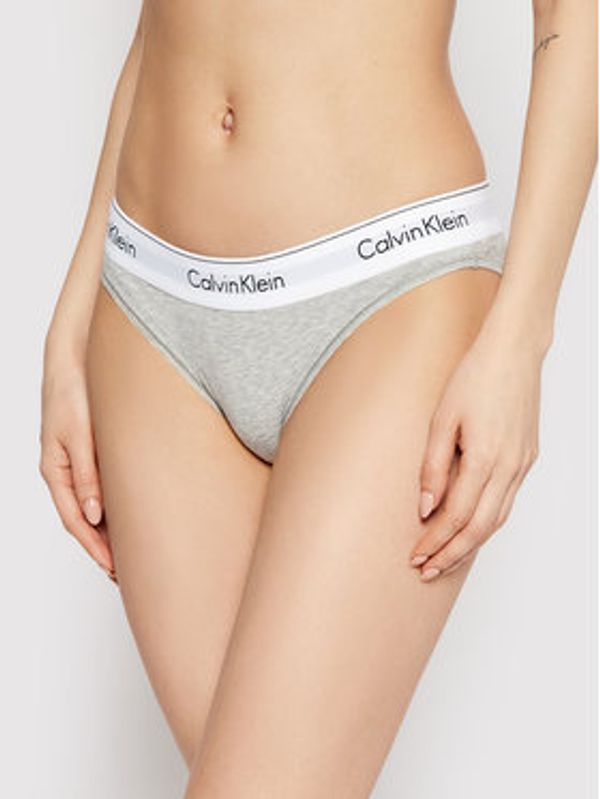 Calvin Klein Underwear Calvin Klein Underwear Klasične spodnje hlačke 0000F3787E Siva
