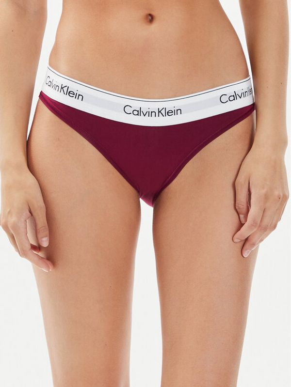 Calvin Klein Underwear Calvin Klein Underwear Klasične spodnje hlačke 0000F3787E Vijolična