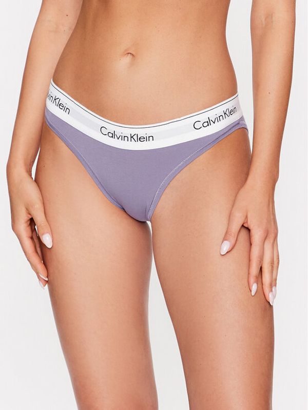 Calvin Klein Underwear Calvin Klein Underwear Klasične spodnje hlačke 0000F3787E Vijolična