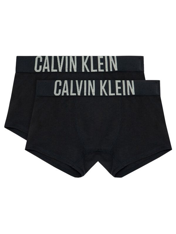 Calvin Klein Underwear Calvin Klein Underwear Set 2 parov boksaric B70B700122 D Črna