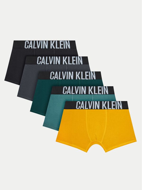 Calvin Klein Underwear Calvin Klein Underwear Set 5 parov boksaric B70B700493 Pisana