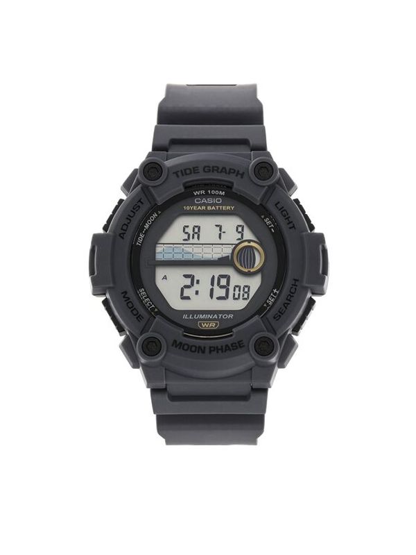 Casio Casio Ročna ura WS-1300H-8AVEF Siva