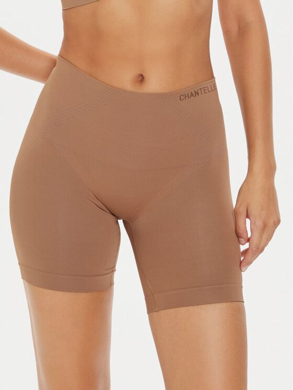 Chantelle Chantelle Oblikovalno perilo spodnji del Smooth Comfort C10U40 Rjava