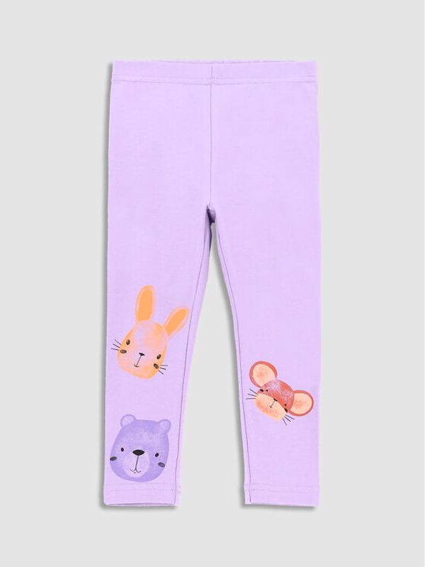 Coccodrillo Coccodrillo Pajkice WC3122104RPN Vijolična Slim Fit