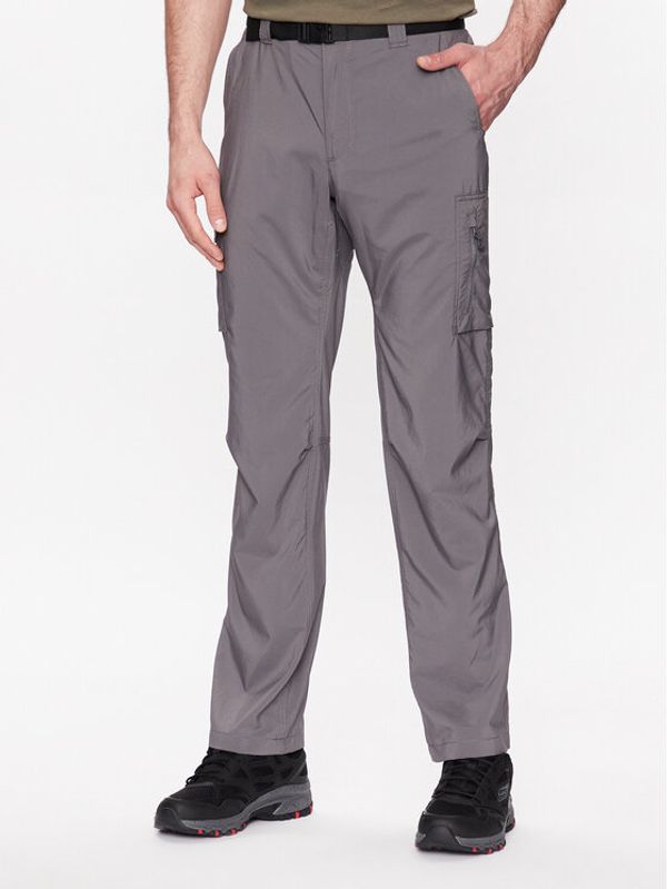 Columbia Columbia Pohodne hlače Silver Ridge™ 2012952 Siva Regular Fit