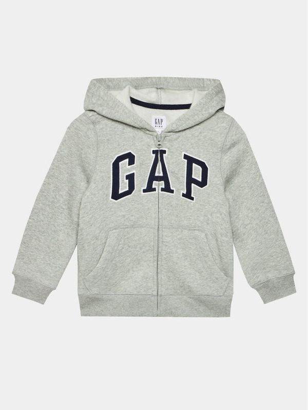 Gap Gap Jopa 550082-02 Siva Regular Fit