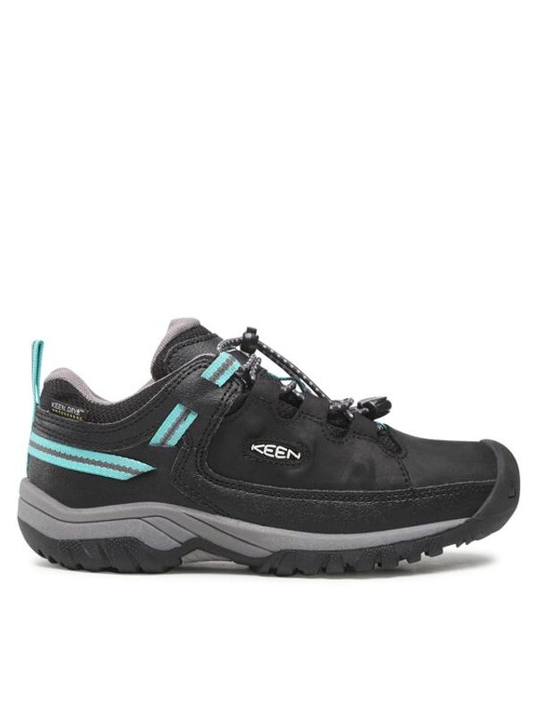 Keen Keen Trekking čevlji Targhee Low Wp 1026294 Črna