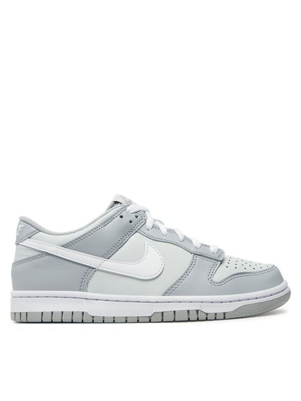 Nike Nike Superge Dunk Low (GS) DH9765 001 Siva