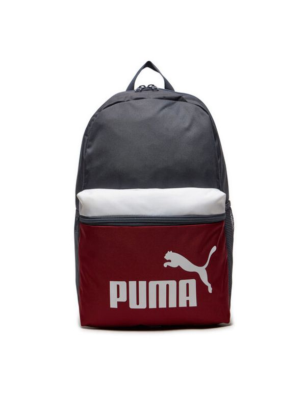 Puma Puma Nahrbtnik 090468 Pisana