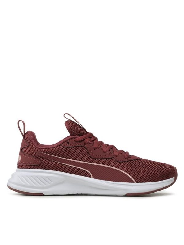 Puma Puma Tekaški čevlji Incinerate Wood Violet 37628822 Vijolična