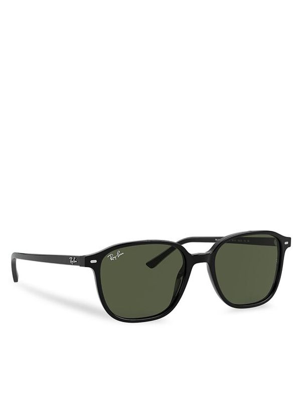 Ray-Ban Ray-Ban Sončna očala 0RB2193 901/31 Črna