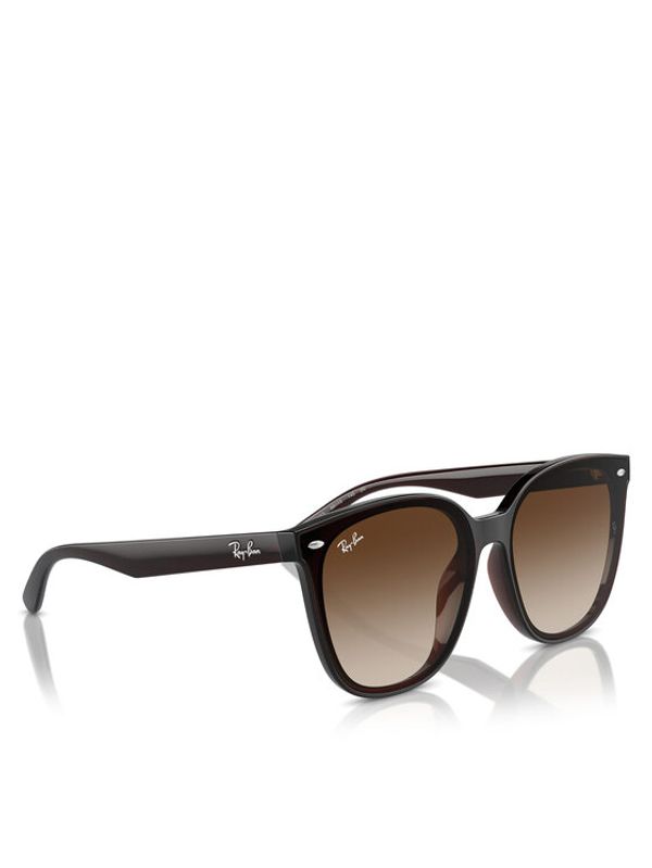 Ray-Ban Ray-Ban Sončna očala 0RB4423D 714/13 Rjava