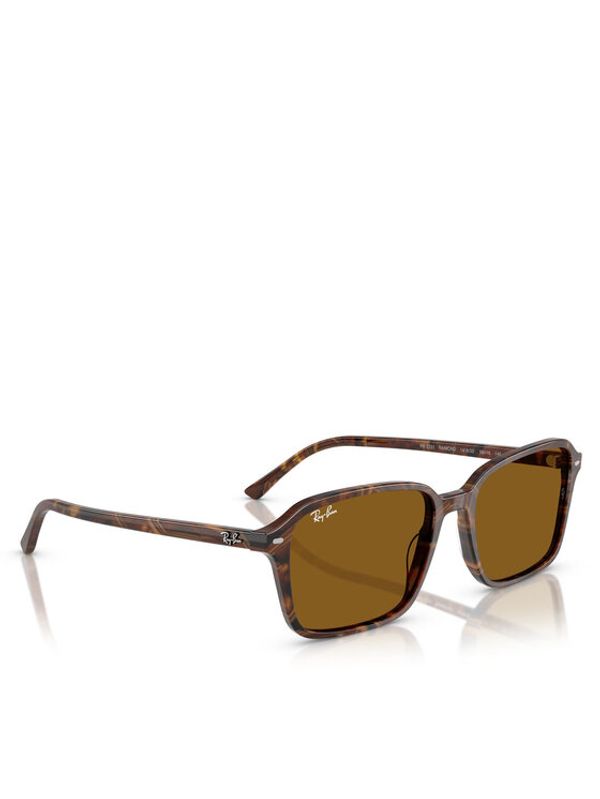 Ray-Ban Ray-Ban Sončna očala Raimond 0RB2231 14183356 Črna