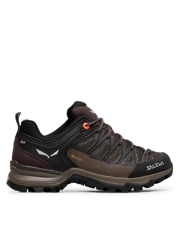 Salewa Salewa Trekking čevlji Ws Mtn Trainer Lite Gtx GORE-TEX 61362-7517 Rjava