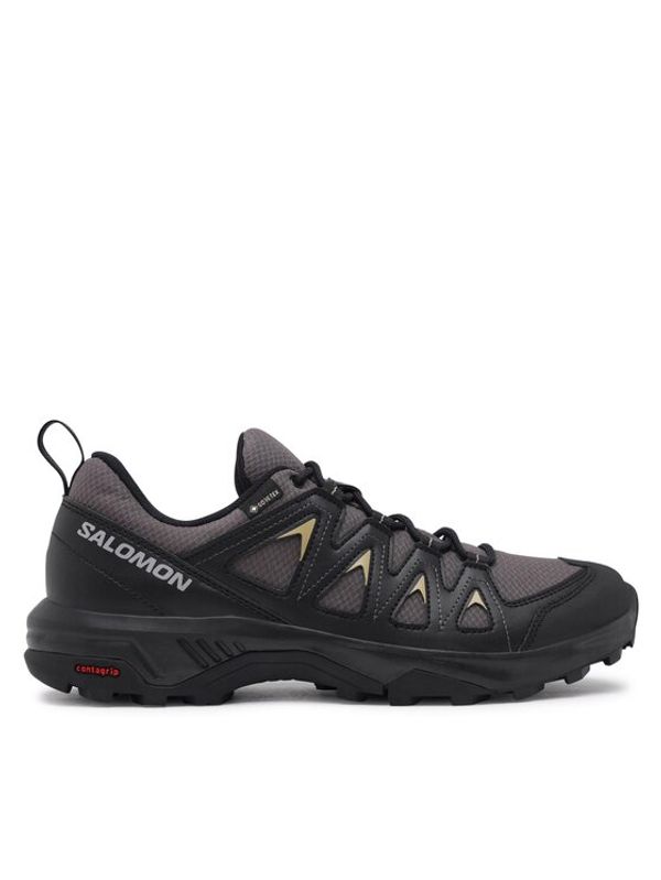 Salomon Salomon Superge X Braze GORE-TEX L47180500 Siva