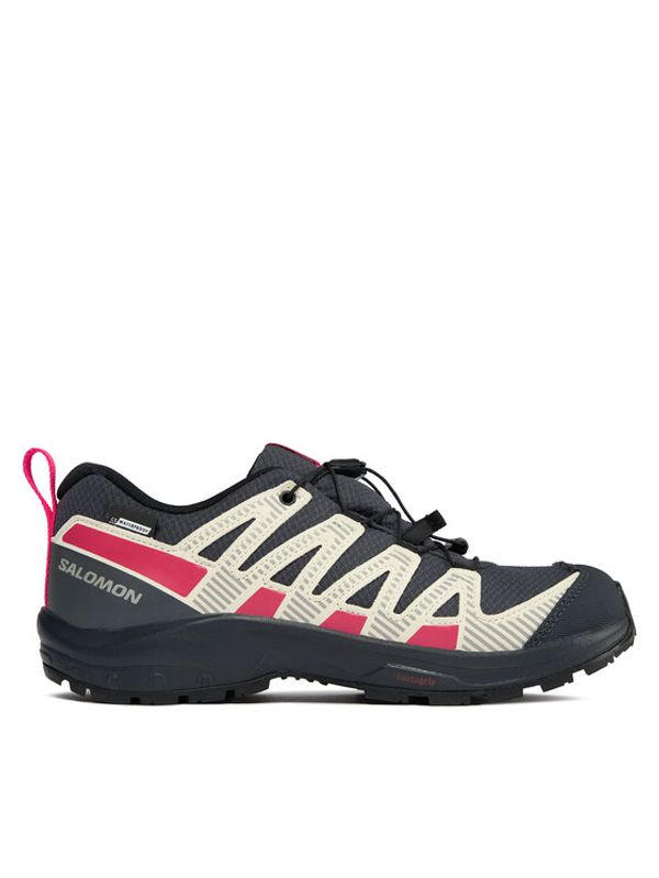 Salomon Salomon Superge Xa Pro V8 Climasalomon™ Waterproof L47310800 Modra