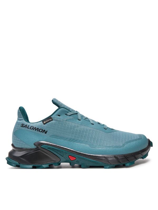 Salomon Salomon Tekaški čevlji Alphacross 5 Gore-Tex L47595000 Siva